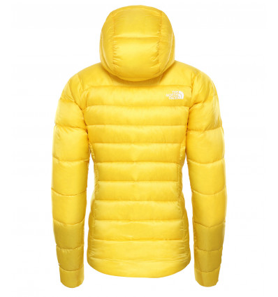 the north face impendor hoodie