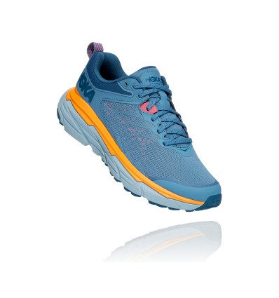 Venta De Zapatillas Hoka En Argentina - Zapatillas Trail Running Mujer Hoka  One One Speedgoat 4 Azules / Verde