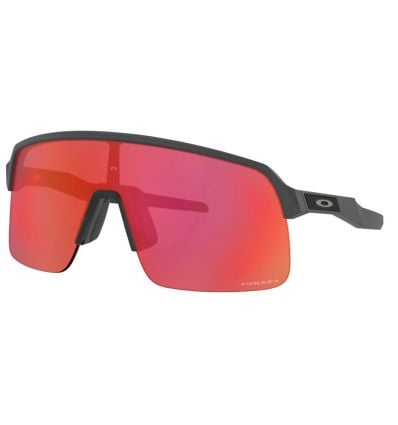 Horn Demontere uddrag Oakley Sutro Lite solbriller (Grå - Prizm trail fakkel) - Alpinstore