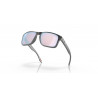 Oakley Holbrook Sunglasses (Brown - Prizm deep h2o polarized)