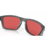 Oakley Holbrook Sunglasses (Brown - Prizm deep h2o polarized)