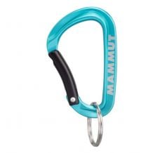 Mammut Mini Carabiner Classic Keylock S -karabiini (sininen)