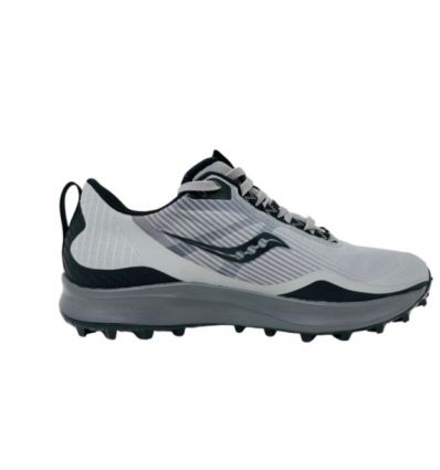 Trail shoes Saucony Peregrine 12 Gtx (alloy/Quartz) woman - Alpinstore