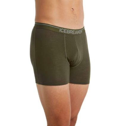 Icebreaker Anatomica Boxer and Crewe Review