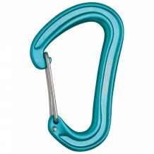 Moschettone Edelrid Nineteen G (icemint)