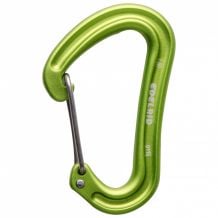 Moschettone Edelrid Nineteen G (oasis)