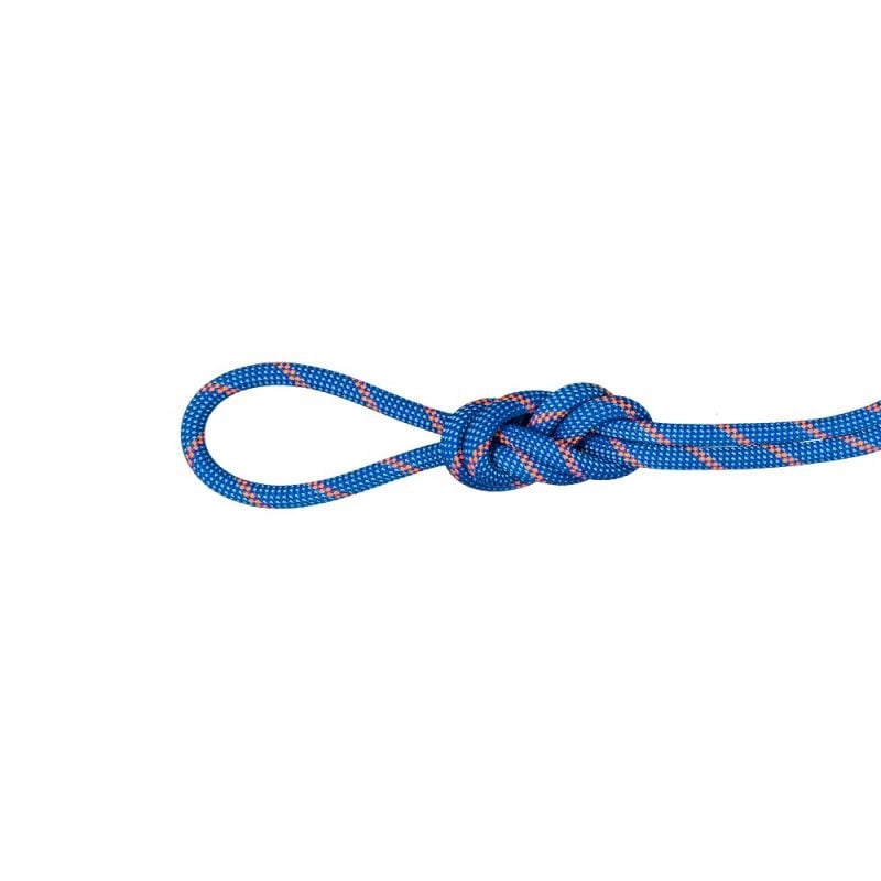 7.5 Alpine Sender Dry Rope Mammut Dry Standard, Blue Safety Orange