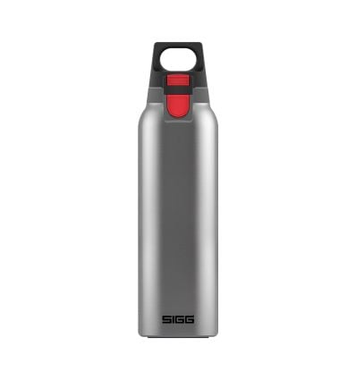 Isothermal bottle Sigg H&ampC One Light (brushed) - Alpinstore