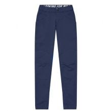 Looking for wild LAILA PEAK (MIDDELEEUWS BLAUW)