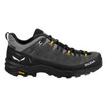 Wanderschuh Salewa ALP TRAINER 2 GTX M (Onyx/Schwarz) Herren