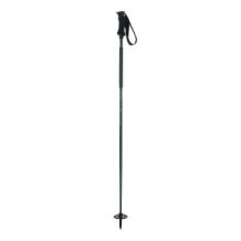 Hiihtosauva Elan Ripstick ROD 