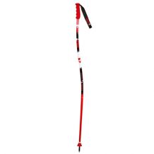 GS ALUMINIUM Senior ski sticks