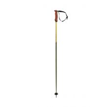 Bâtons de ski VOLKL PHANTASTICK 16MM POLES (Green)