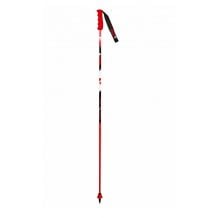 Bastoni da sci Vola GS CARBON