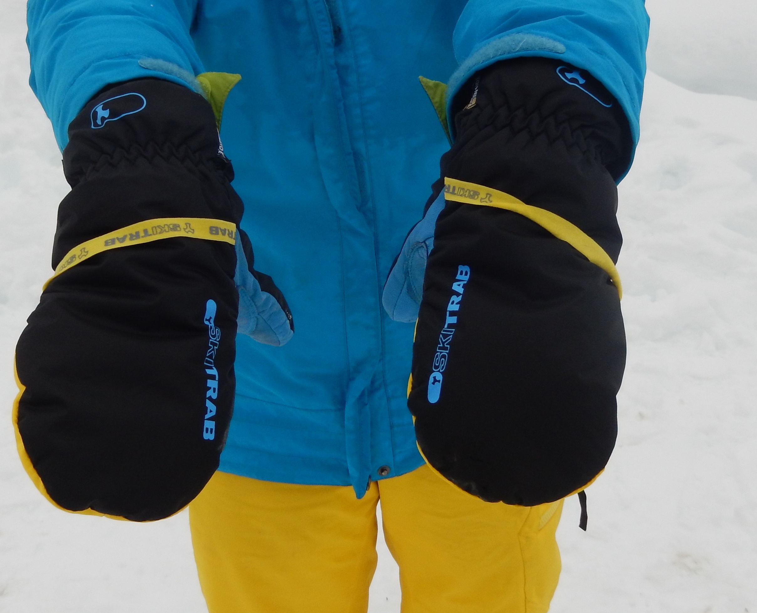Moufles 3D Renard Barts pour le ski