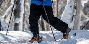 Ski touring bindings  Marker