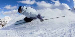 Freeride Alpine Ski Poles  Faction